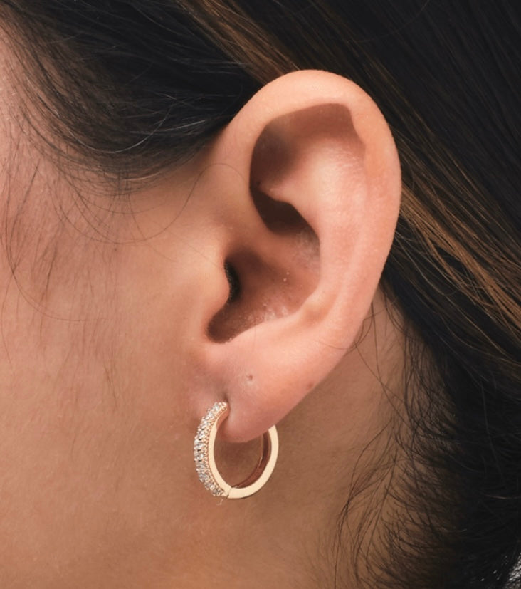 Shine Earring