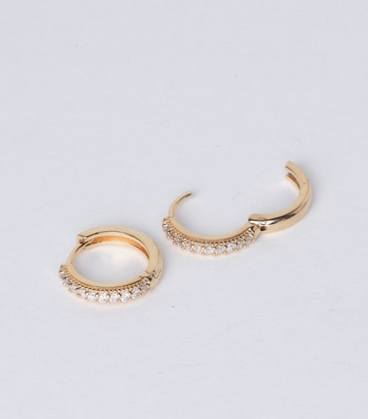 Shine Earring
